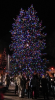 Christmas Lights